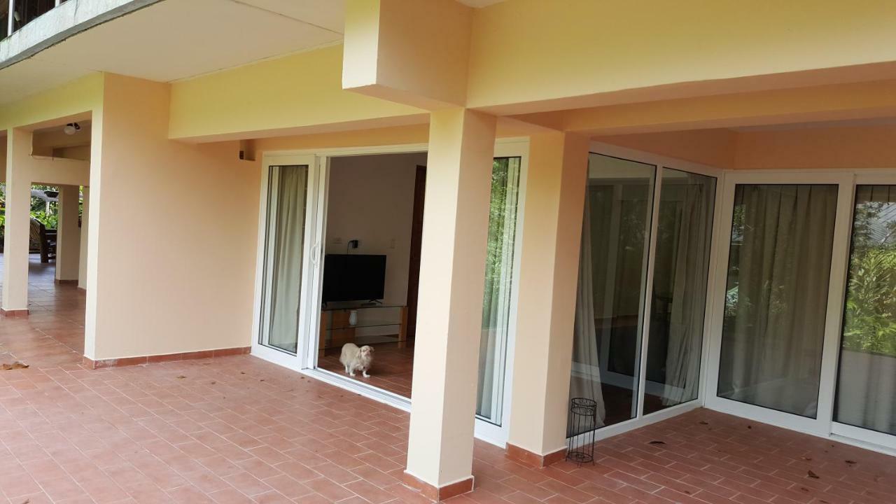 Gamboa Apartment Toucan Y Studio Neque المظهر الخارجي الصورة